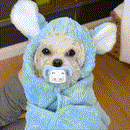 Roupão Super Dry Premium| A Solução Definitiva Após o Banho!