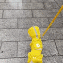 Capa de Chuva Rain Cover | Estilo e Proteção Para Dias de Chuva!