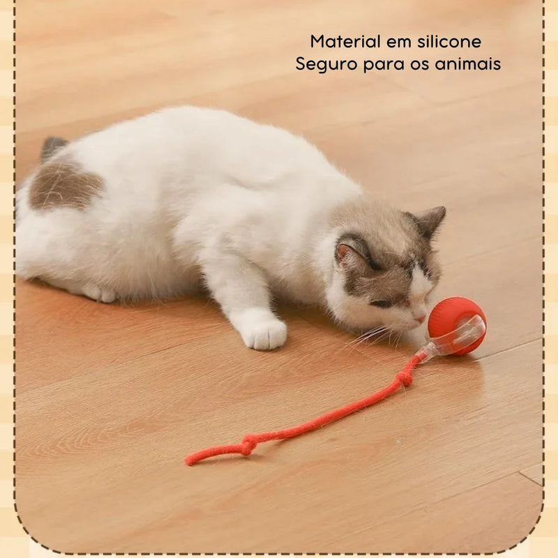 Bola Elétrica Master Play Cats & Dogs | Ação e Diversão Sem Limites Para o Seu Pet!