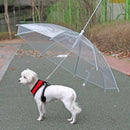 Guarda-Chuva Safe Rain | Proteção e Conforto Mesmo nos Dias Chuvosos!