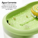 Bebedouro Lollipop Fresh Water| Água Sempre Fresca!