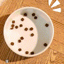 Dispenser Automático DuoFeedPro | Alimentação e Hidratação Garantidas!