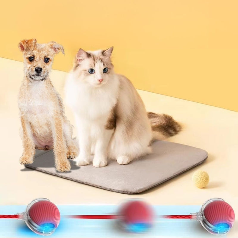 Bola Elétrica Master Play Cats & Dogs | Ação e Diversão Sem Limites Para o Seu Pet!