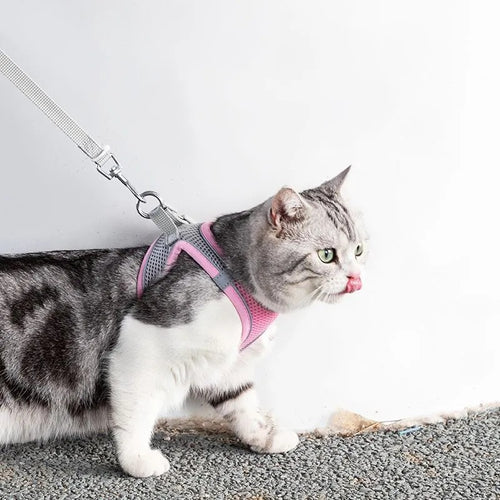 Peitoral Chest Harness for Dogs & Cats |Passeio Seguro e Confortável!