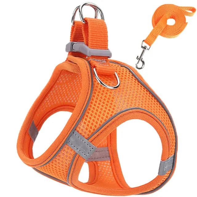 Peitoral Chest Harness for Dogs & Cats |Passeio Seguro e Confortável!