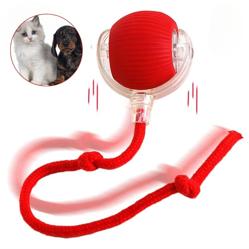 Bola Elétrica Master Play Cats & Dogs | Ação e Diversão Sem Limites Para o Seu Pet!