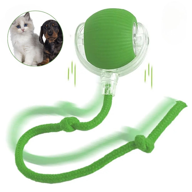 Bola Elétrica Master Play Cats & Dogs | Ação e Diversão Sem Limites Para o Seu Pet!