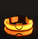 Coleira LEDLight Cats & Dogs | Proteção e Estilo Seja Dia ou Noite!