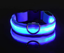 Coleira LEDLight Cats & Dogs | Proteção e Estilo Seja Dia ou Noite!