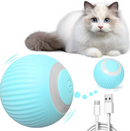 Bola Elétrica Magic Ball For Cats & Dogs | A Diversão Que Seu Pet Merece!