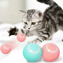 Bola Elétrica Magic Ball For Cats & Dogs | A Diversão Que Seu Pet Merece!