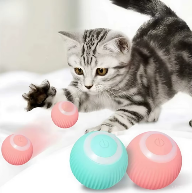 Bola Elétrica Magic Ball For Cats & Dogs | A Diversão Que Seu Pet Merece!