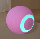 Bola Elétrica Magic Ball For Cats & Dogs | A Diversão Que Seu Pet Merece!