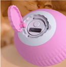 Bola Elétrica Magic Ball For Cats & Dogs | A Diversão Que Seu Pet Merece!
