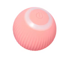 Bola Elétrica Magic Ball For Cats & Dogs | A Diversão Que Seu Pet Merece!