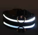 Coleira LEDLight Cats & Dogs | Proteção e Estilo Seja Dia ou Noite!