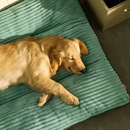 Cama Colchão UltraComfort | Conforto Máximo Para Seu Pet Relaxar!