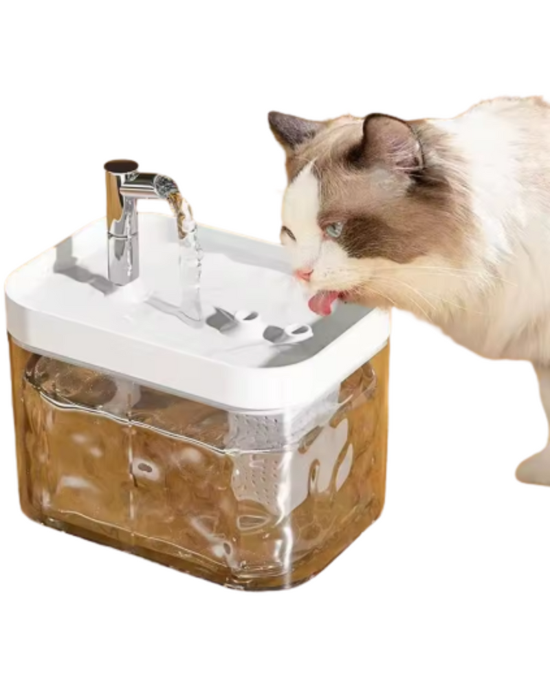 Bebedouto Clear Water |Água Limpa Para seu Pet