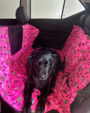 Capa para Banco Clean Car Pro | Praticidade no Transporte do Seu Pet!