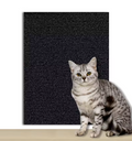 Arranhador Relaxante Cat Master | Proteção Para seu Lar e Alegria Para Seu Gato!
