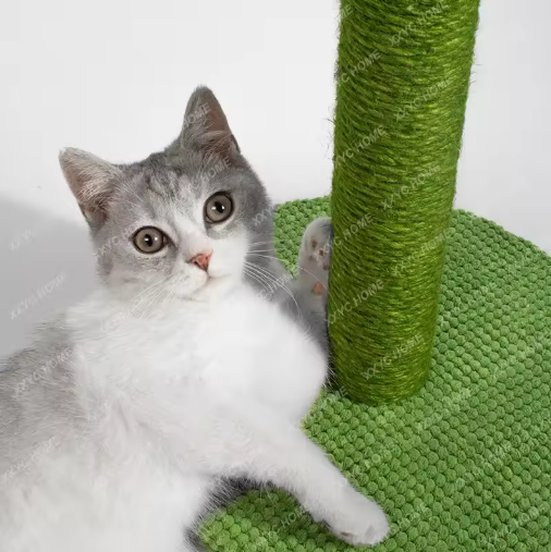 Arranhador Cat Cactus | O Presente Perfeito Para o Seu Gato!