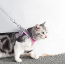 Peitoral Chest Harness for Dogs & Cats |Passeio Seguro e Confortável!