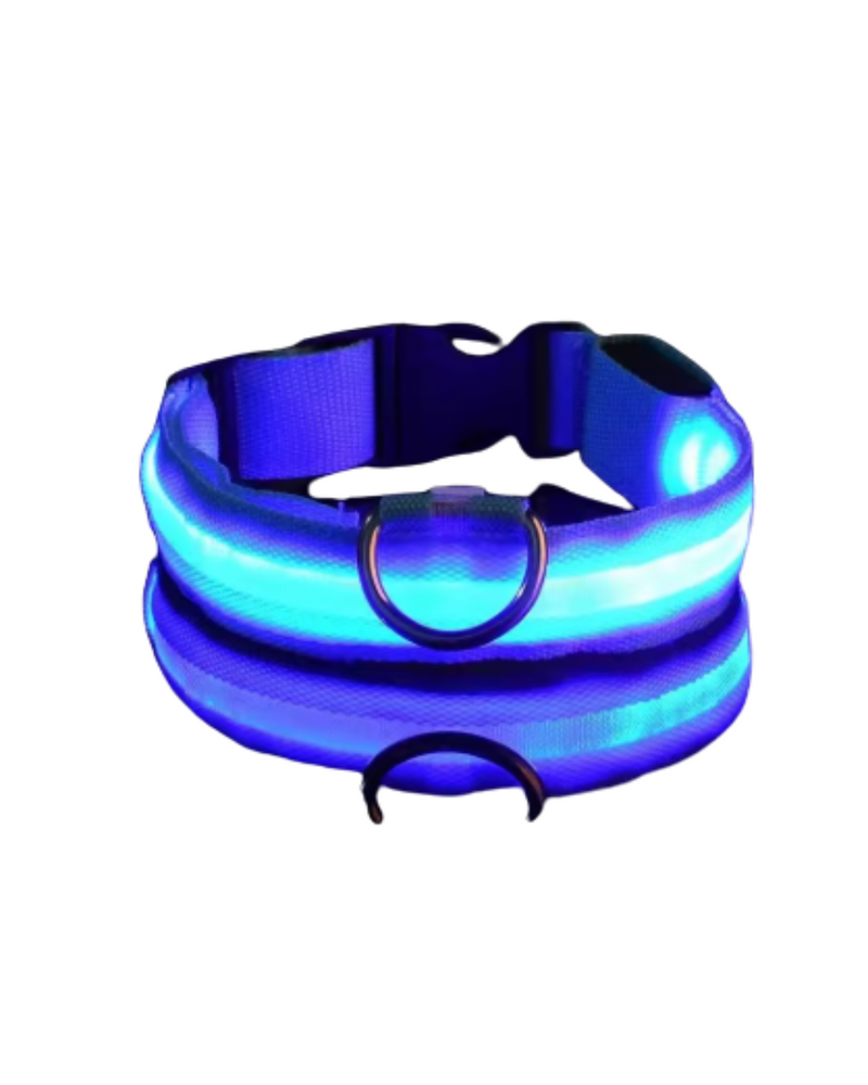 Coleira LEDLight Cats & Dogs | Proteção e Estilo Seja Dia ou Noite!