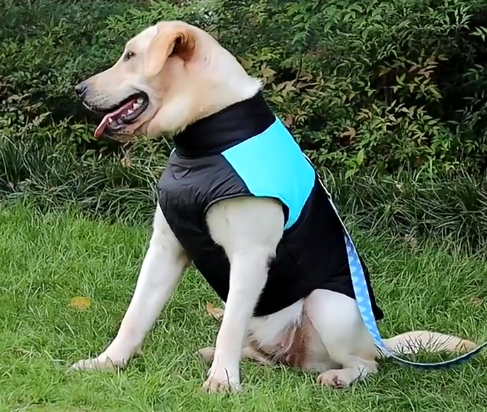 Jaqueta de Inverno Pet Waterproof | Muito Estilo Para os Dias Mais Frios