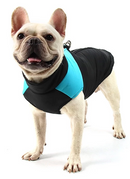 Jaqueta de Inverno Pet Waterproof | Muito Estilo Para os Dias Mais Frios
