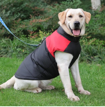 Jaqueta de Inverno Pet Waterproof | Muito Estilo Para os Dias Mais Frios