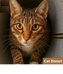 Cat Donut - Refúgio-Túnel-Arranhador |Trio Gato Feliz!