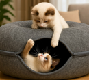 Cat Donut - Refúgio-Túnel-Arranhador |Trio Gato Feliz!