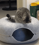 Cat Donut - Refúgio-Túnel-Arranhador |Trio Gato Feliz!