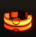 Coleira LEDLight Cats & Dogs | Proteção e Estilo Seja Dia ou Noite!