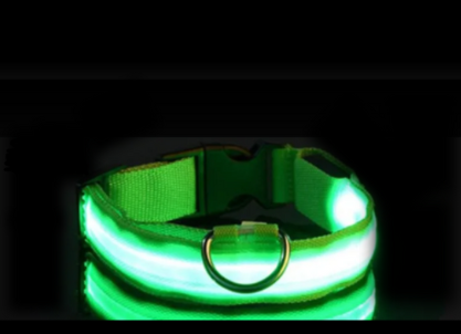 Coleira LEDLight Cats & Dogs | Proteção e Estilo Seja Dia ou Noite!