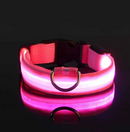Coleira LEDLight Cats & Dogs | Proteção e Estilo Seja Dia ou Noite!