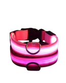 Coleira LEDLight Cats & Dogs | Proteção e Estilo Seja Dia ou Noite!