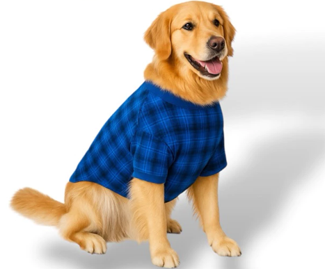 Roupa de Inverno Blusão BIG PET | Proteção Térmica Para Seu AMIGÃO!