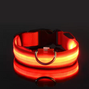 Coleira LEDLight Cats & Dogs | Proteção e Estilo Seja Dia ou Noite!