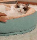 Caminha de Inverno Winter Time | Sono Tranquilo e Aconchegante!