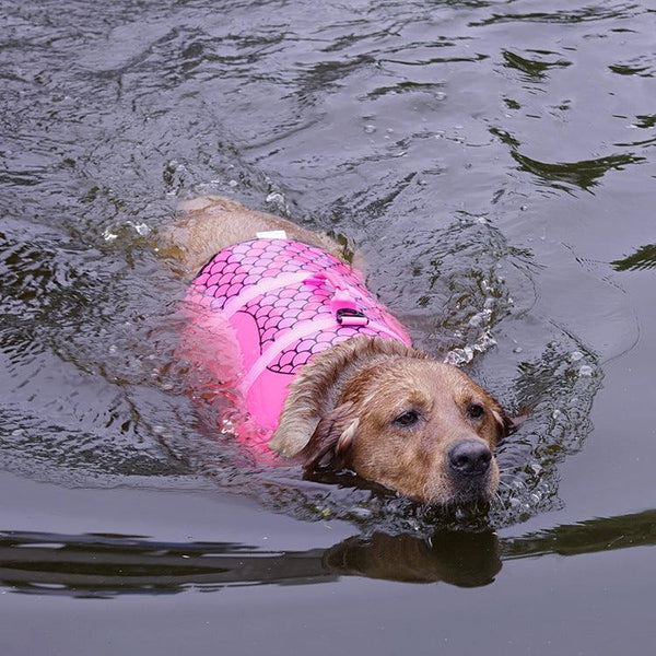 Colete Salva-Vidas Mermaid & Shark| Segurança, Estilo e Diversão para seu Dog!