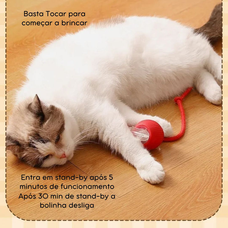 Bola Elétrica Master Play Cats & Dogs | Ação e Diversão Sem Limites Para o Seu Pet!