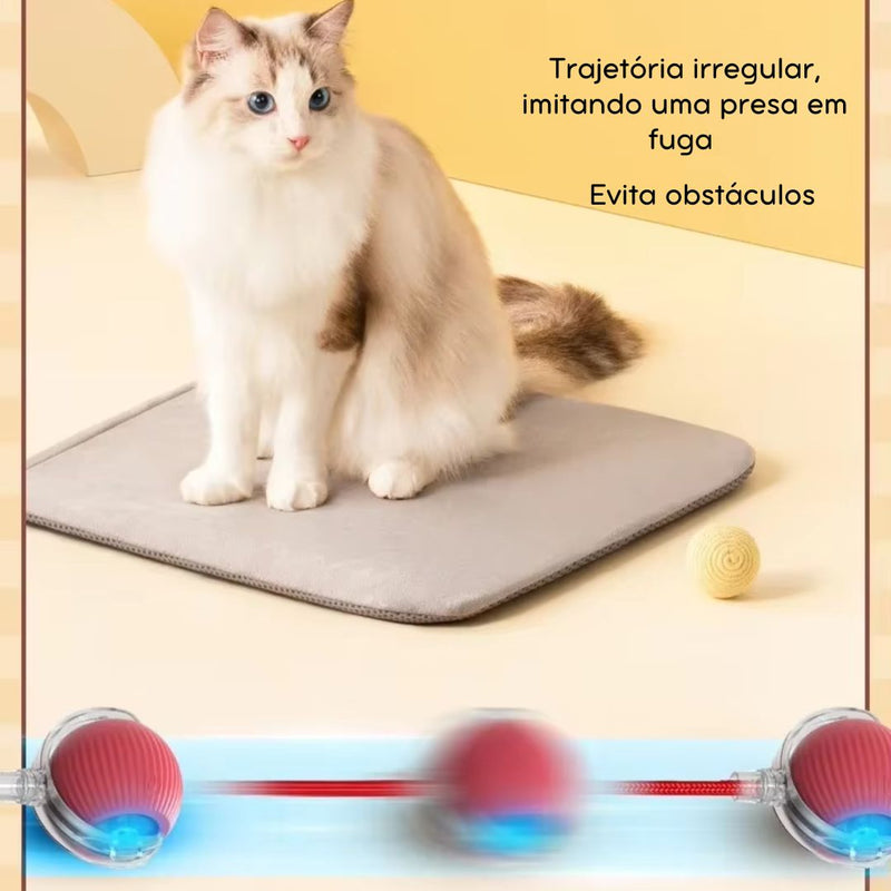 Bola Elétrica Master Play Cats & Dogs | Ação e Diversão Sem Limites Para o Seu Pet!