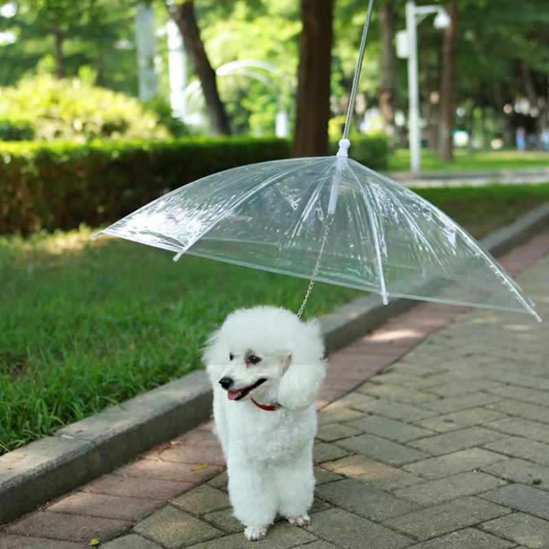 Guarda-Chuva Safe Rain | Pet Seco e Feliz em Dias de Chuva