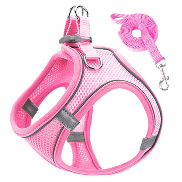 Peitoral Chest Harness for Dogs & Cats |Passeio Seguro e Confortável!