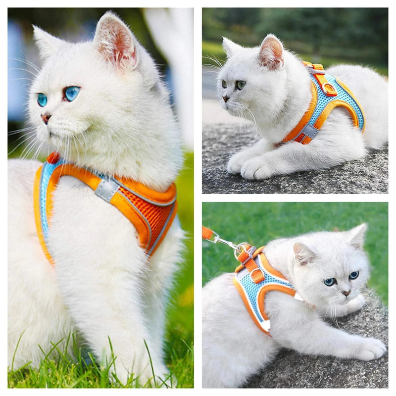 Peitoral Chest Harness for Dogs & Cats |Passeio Seguro e Confortável!