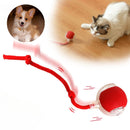 Bola Elétrica Master Play Cats & Dogs | Ação e Diversão Sem Limites Para o Seu Pet!