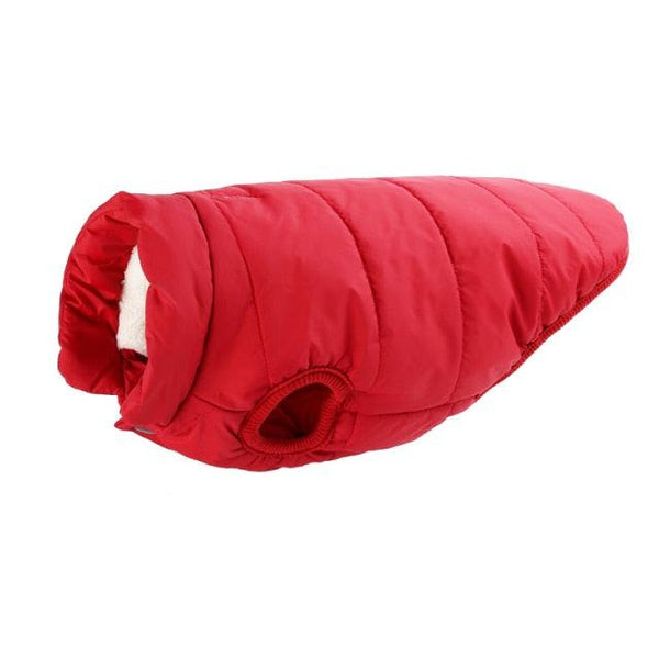 Colete de Frio Winter Cover | Aquecimento e Conforto!