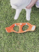 Peitoral Chest Harness for Dogs & Cats |Passeio Seguro e Confortável!